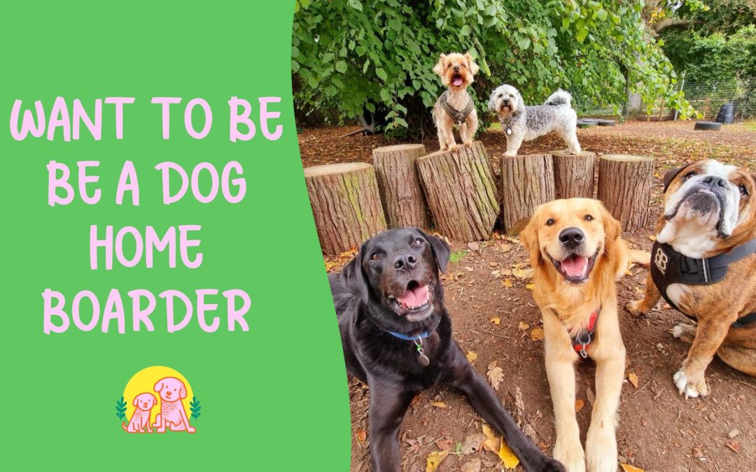 Norwich Dog Home Boarding Families Wanted!